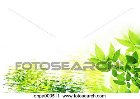 Green leaves View Large Photo Image Stock Image - Green leaves. Fotosearch