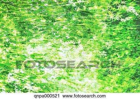 Green leaves View Large Photo Image Stock Image - Green leaves. Fotosearch