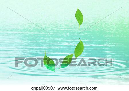Green leaves View Large Photo Image Stock Photo - Green leaves. Fotosearch