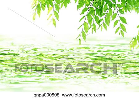 Stock Photo - Green leaves. Fotosearch