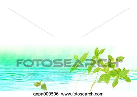 Green leaves View Large Photo Image Stock Photograph - Green leaves. Fotosearch