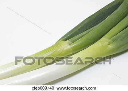 Green onions View Large Photo Image Stock Image - Green onions. Fotosearch