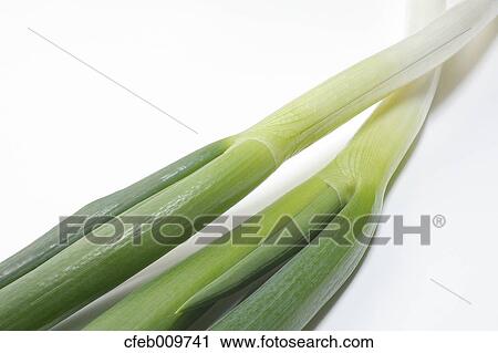 Green onions View Large Photo Image Stock Image - Green onions. Fotosearch