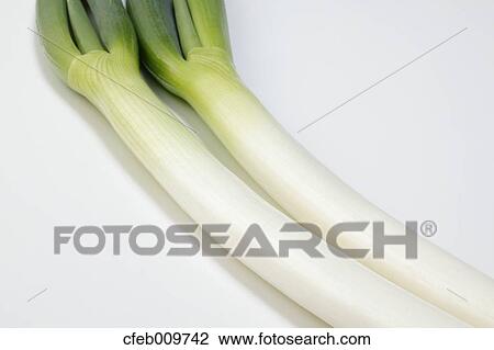 Green onions View Large Photo Image Stock Image - Green onions. Fotosearch