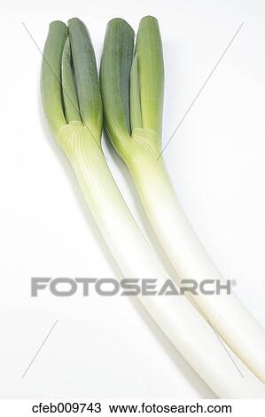 Green onions View Large Photo Image Stock Image - Green onions. Fotosearch