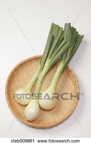 Green onions View Large Photo Image Stock Image - Green onions. Fotosearch