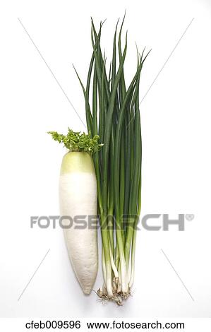 Green onions View Large Photo Image Stock Photograph - Green onions. Fotosearch