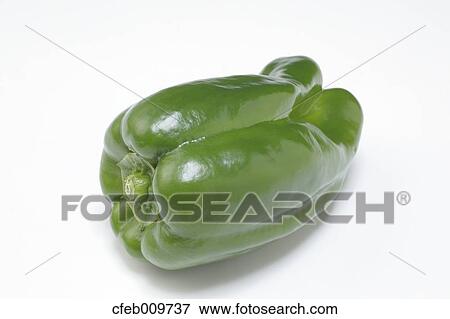 Green Pepper View Large Photo Image Stock Photo - Green Pepper. Fotosearch
