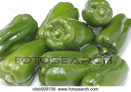 Green Pepper View Large Photo Image Stock Photo - Green Pepper. Fotosearch