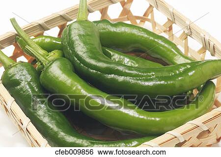 Green Pepper View Large Photo Image Stock Photograph - Green Pepper. Fotosearch