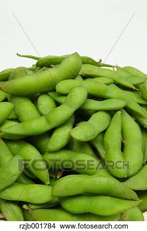 Green Soybeans View Large Photo Image Picture - Green Soybeans. Fotosearch