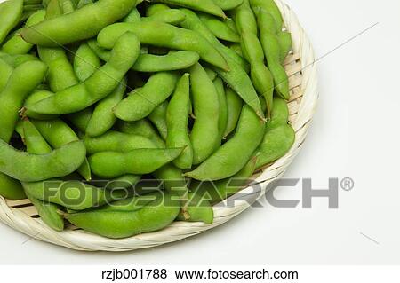 Green Soybeans View Large Photo Image Stock Photo - Green Soybeans. Fotosearch
