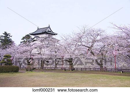 Hirosaki Castle, Aomori Prefecture, Japan View Large Photo Image Stock Image - Hirosaki Castle, Aomori Prefecture, Japan. Fotosearch