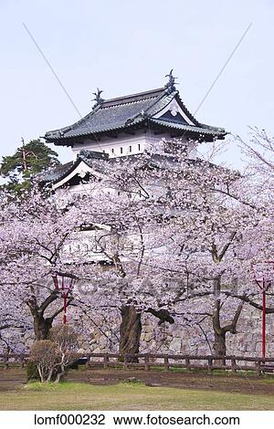 Hirosaki Castle, Aomori Prefecture, Japan View Large Photo Image Stock Image - Hirosaki Castle, Aomori Prefecture, Japan. Fotosearch