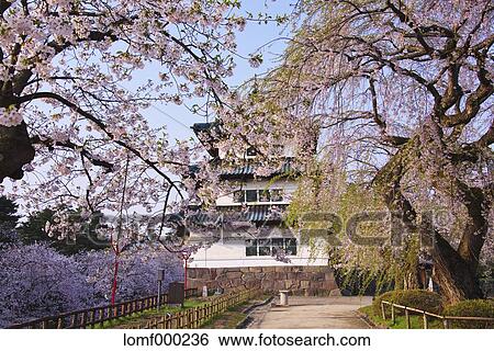 Hirosaki Castle, Aomori Prefecture, Japan View Large Photo Image Stock Photograph - Hirosaki Castle, Aomori Prefecture, Japan. Fotosearch