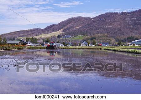 Stock Image - Hokkaido, Japan. Fotosearch