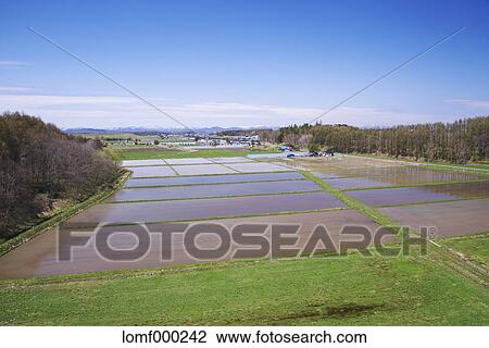Hokkaido, Japan View Large Photo Image Stock Image - Hokkaido, Japan. Fotosearch