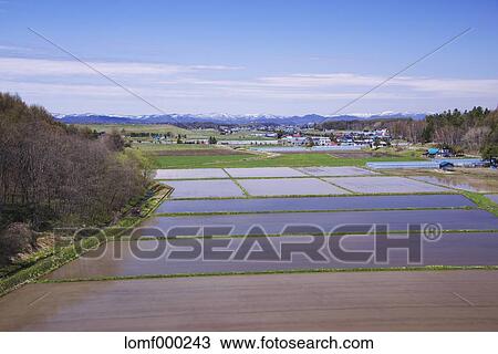 Hokkaido, Japan View Large Photo Image Stock Image - Hokkaido, Japan. Fotosearch