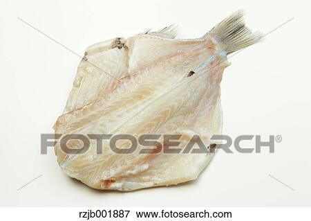 Stock Photo - Japanese Armorhead. Fotosearch