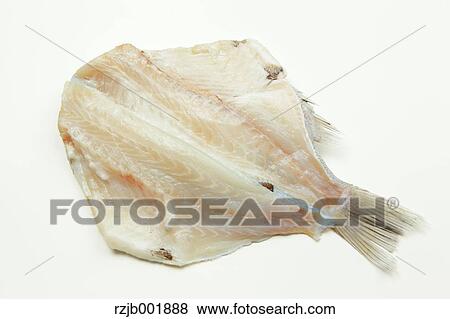 Japanese Armorhead View Large Photo Image Stock Photo - Japanese Armorhead. Fotosearch