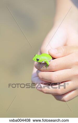 Japanese kid with frog View Large Photo Image Stock Photo - Japanese kid with frog. Fotosearch