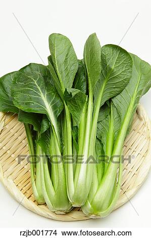 Japanese Mustard Spinach View Large Photo Image Picture - Japanese Mustard Spinach. Fotosearch