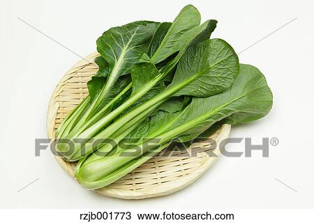 Japanese Mustard Spinach View Large Photo Image Stock Image - Japanese Mustard Spinach. Fotosearch