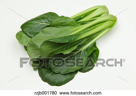 Stock Image - Japanese Mustard Spinach. Fotosearch
