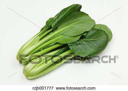 Stock Photo - Japanese Mustard Spinach. Fotosearch