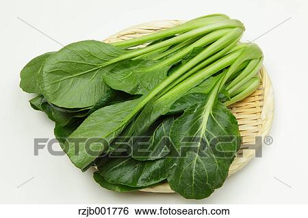 Japanese Mustard Spinach View Large Photo Image Stock Photograph - Japanese Mustard Spinach. Fotosearch