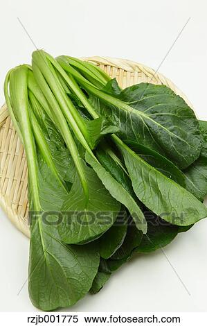 Japanese Mustard Spinach View Large Photo Image Stock Photography - Japanese Mustard Spinach. Fotosearch