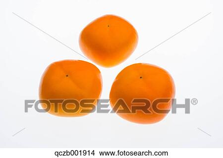 Japanese Persimmon View Large Photo Image Picture - Japanese Persimmon. Fotosearch