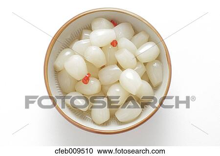 Japanese Scallion View Large Photo Image Stock Image - Japanese Scallion. Fotosearch