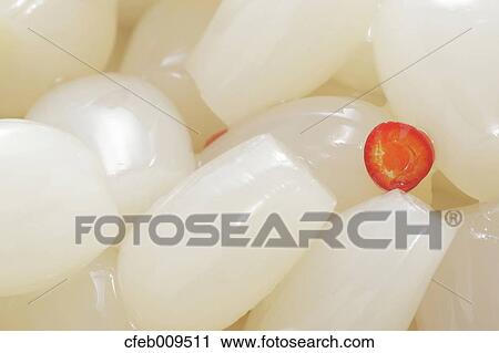 Japanese Scallion View Large Photo Image Stock Image - Japanese Scallion. Fotosearch