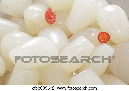 Stock Image - Japanese Scallion. Fotosearch