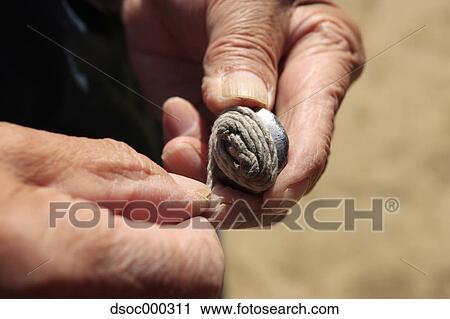 Japanese Spinning Top Game View Large Photo Image Stock Image - Japanese Spinning Top Game. Fotosearch