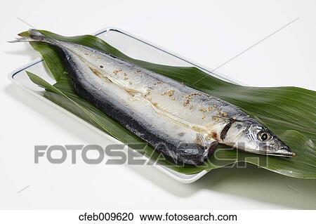 Japanese style marinated fish View Large Photo Image Stock Image - Japanese style marinated fish. Fotosearch