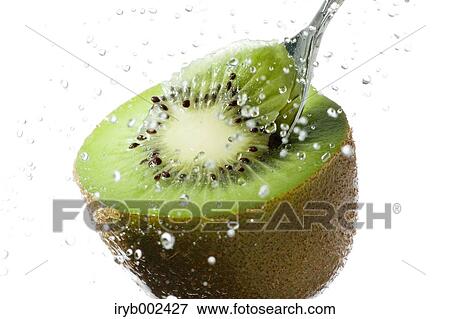 Kiwi fruit View Large Photo Image Stock Photo - Kiwi fruit. Fotosearch