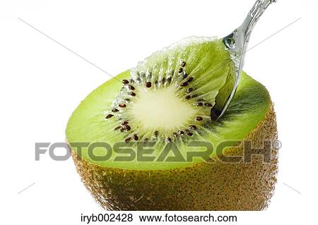 Kiwi fruit View Large Photo Image Stock Photo - Kiwi fruit. Fotosearch