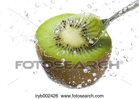 Kiwi fruit View Large Photo Image Stock Photograph - Kiwi fruit. Fotosearch