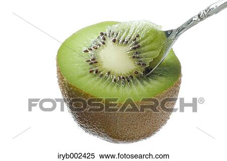 Kiwi fruit View Large Photo Image Stock Photography - Kiwi fruit. Fotosearch