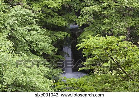 Stock Image - Koizumi Waterfall, Gunma Prefecture, Japan. Fotosearch