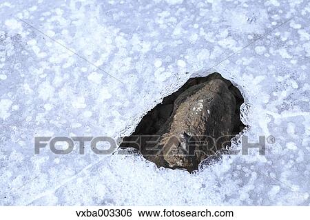 Stock Photograph - Lake Yamanaka, Yamanashi Prefecture, Japan. Fotosearch