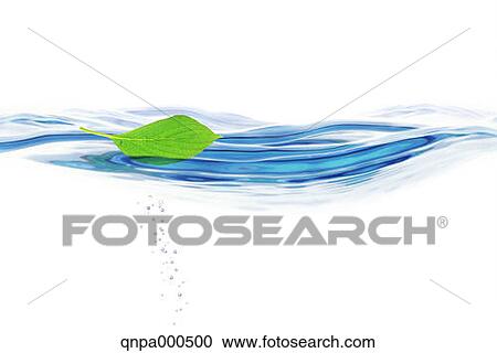 Leaf and water View Large Photo Image Stock Image - Leaf and water. Fotosearch