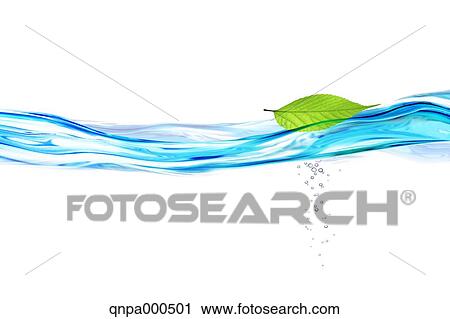Stock Image - Leaf and water. Fotosearch