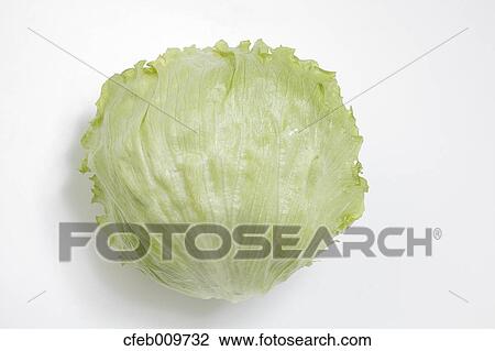 Stock Image - Lettuce. Fotosearch