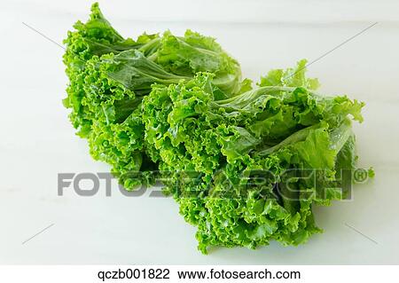 Stock Image - Lettuce. Fotosearch