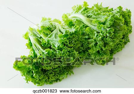 Lettuce View Large Photo Image Stock Image - Lettuce. Fotosearch