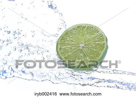 Lime and water splash View Large Photo Image Stock Photograph - Lime and water splash. Fotosearch
