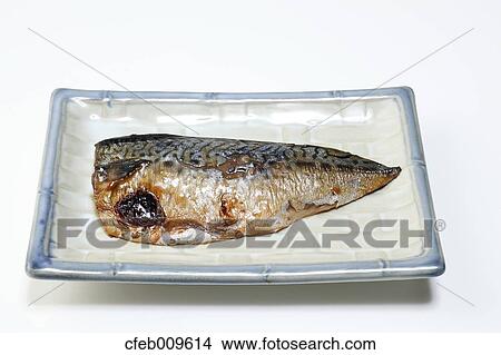 Mackerel View Large Photo Image Picture - Mackerel. Fotosearch